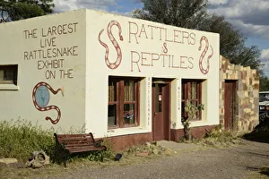 Images Dated 11th January 2022: USA, Texas, West Texas, Fort Davis, Reptile shop