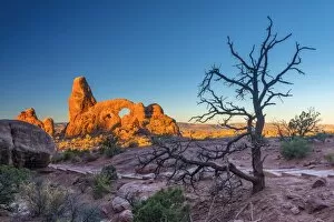 Images Dated 19th October 2014: USA, Utah, Arches National Park, The Windows, Turret Arch