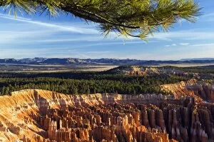 V Iew Collection: USA, Utah, Bryce Canyon National Park