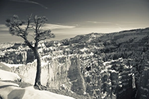 USA, Utah, Bryce Canyon National Park, Bryce Amphitheater between Sunrise