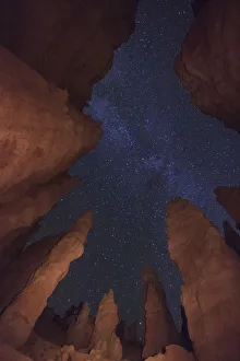 USA, Utah, Bryce Canyon National Park, Wall Street Cliffs and Milky Way