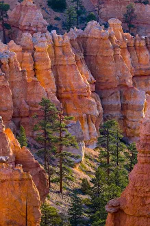 USA, Utah, Bryce Canyon National Park, near Sunset Point