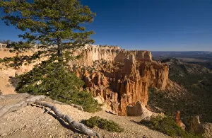 Images Dated 8th September 2009: USA, Utah, Bryce Canyon National Park, from Paria Viewpoint