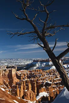 Images Dated 22nd September 2009: USA, Utah, Bryce Canyon National Park, Bryce Amphitheater between Sunrise and Sunset