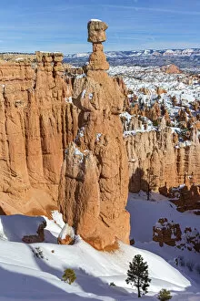 Images Dated 24th November 2021: USA, Utah, Bryce Canyon National Park