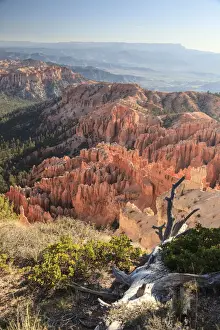 USA, Utah, Bryce Canyon National Park, Bryce Point