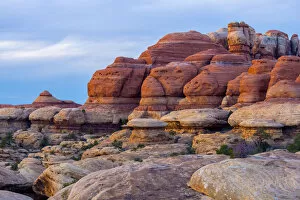 Images Dated 17th June 2015: USA, Utah, Canyonlands National Park, The Needles District, Chesler Park Trail
