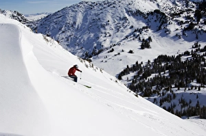 V Iew Collection: USA Utah Salt Lake City Alta Ski Resort Off Piste Skier