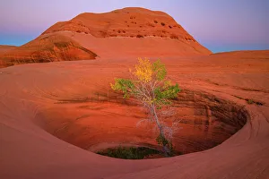 Adventure Gallery: USA, Utah, Southwest, Colorado Plateau, Dance Hall Rock, Historic Site