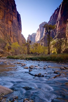 USA, Utah, Zion National Park