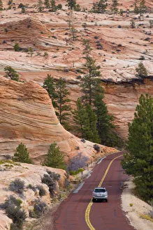 Images Dated 27th July 2009: USA, Utah, Zion National Park