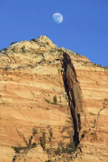 Images Dated 24th November 2021: USA, Utah, Zion National Park