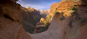 Images Dated 27th July 2009: USA, Utah, Zion National Park, from Canyon Overlook