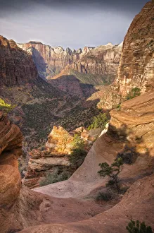 Images Dated 27th July 2009: USA, Utah, Zion National Park, from Canyon Overlook