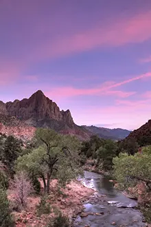 Virgin River Prints: USA, Utah, Zion National Park, Watchman Mountain and Virgin River