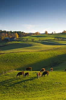Us A Prints: USA, Vermont