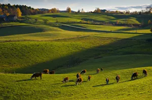 Images Dated 13th February 2009: USA, Vermont, nr Woodstock, Jenne Farm