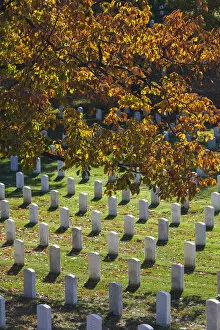 Images Dated 14th February 2014: USA, Virginia, Arlington, Arlington National Cemetery, military gravestones, autumn
