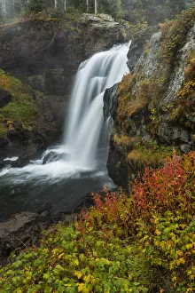 Images Dated 15th November 2016: USA, Wyoming, Yellowstone National Park, Moose falls