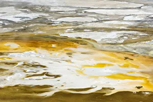Images Dated 15th November 2016: USA, Wyoming, Yellowstone National Park, Norris Geyser Basin