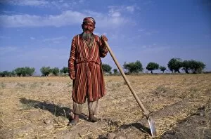 Central Asian Gallery: Uzbek man with hoe in a field