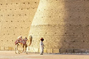 Images Dated 29th November 2022: Uzbekistan, Bukhara, UNESCO world heritage site, Ark Fortress