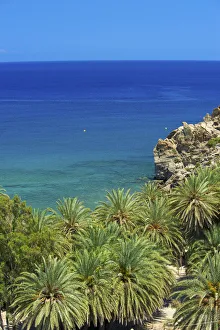 Vai Beach, East Coast, Crete, Greece