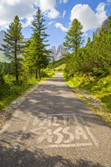 Vajolet Prints: Vajolet valley and the Catinaccio group, Dolomites, Fassa valley, Val di Fassa, Pozza