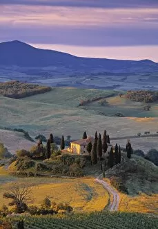 Vine Yard Gallery: Val D Orcia