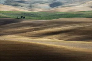 Abstract Gallery: Val d Orcia Luglio Tuscany, Italy