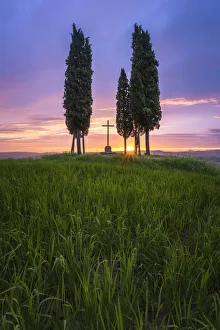 Val d Orcia, Siena province, Tuscany, Italy