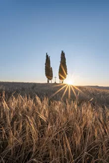 Images Dated 24th September 2020: Val d Orcia, Siena province, Tuscany, Italy