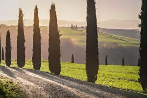 Tuscany Collection: Val d Orcia, Tuscany, Italy