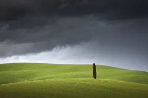 Tuscany Prints: Val d Orcia, Tuscany, Italy