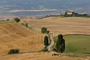Images Dated 25th February 2011: Val d Orcia, Tuscany, Italy