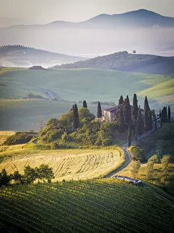 Images Dated 22nd July 2015: Val d Orcia, Tuscany, Italy. A lonely farmhouse with cypress and olive trees