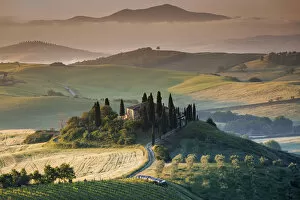 Images Dated 22nd July 2015: Val d Orcia, Tuscany, Italy. A lonely farmhouse with cypress and olive trees