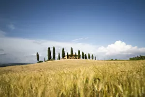 Images Dated 19th August 2015: Val d Orcia, Tuscany, Italy. A lonely farmhouse with cypress trees standing in