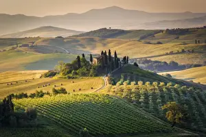 Val d Orcia, Tuscany, Italy. A lonely farmhouse with cypress and olive trees, rolling