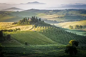 Val d Orcia, Tuscany, Italy. A lonely farmhouse with cypress and olive trees, rolling