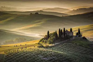 Val d Orcia, Tuscany, Italy. A lonely farmhouse with cypress and olive trees