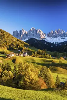 Larch Prints: Val di Funes in Autumn, Dolomites, South Tyrol, Italy