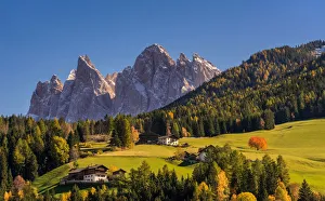 Images Dated 19th May 2016: Val di Funes, Trentino Alto Adige, Italy. A cherry tree stands in the pastures of Funes