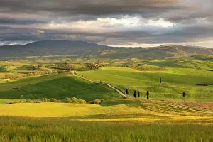 Pienza Prints: Val d'Orcia with Terrapille Farmhouse (featured in Gladiator movie) in the distance