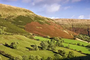 Powys Prints: Vale of Ewyas and Offas Dyke, Brecon Beacons National Park, Monmouthshire, Wales, UK