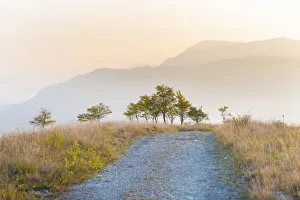 Apennines Prints: Valle del Reno, bolognese Apennine, province of Bologna, Emilia Romagna, Italy