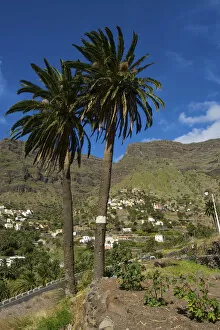 Images Dated 17th December 2012: Valle Gran Rey, La Gomera, Canary Islands, Spain