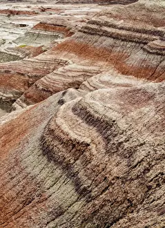 Valle Pintado, Painted Valley, Ischigualasto Provincial Park, UNESCO World Heritage Site
