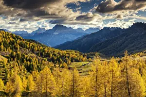 Larch Prints: Valley of Autumn Larches, Marmolada, Dolomites, Italy