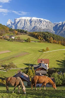 Images Dated 8th March 2013: Valley & Dolomites nr Bolzano, Trentino-Alto Adige / South Tirol, Italy